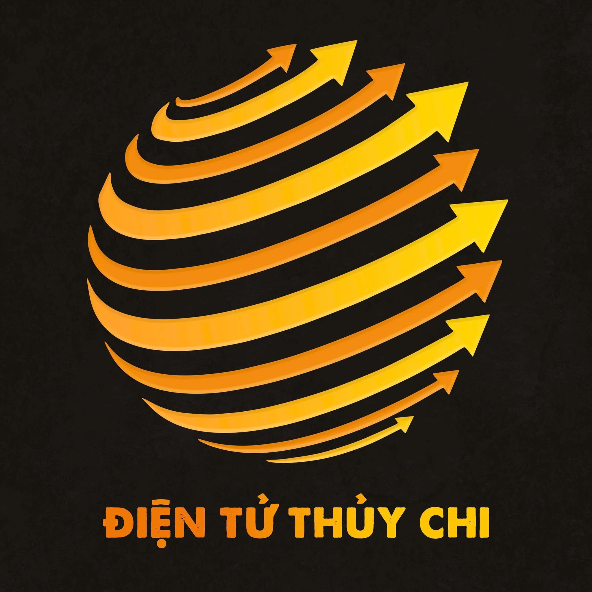 Điện tử Thuỷ Chi